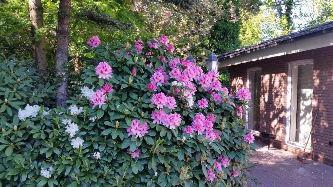 Ferienwohnung Morgensonne Вестерштеде Экстерьер фото